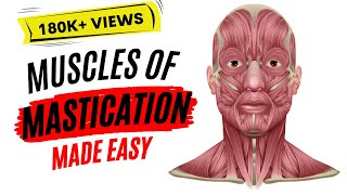 Muscles of mastication made easy [upl. by Leary]