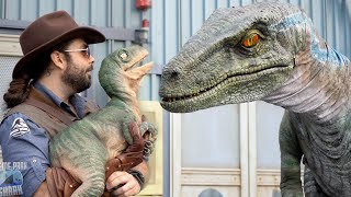 Jurassic World Raptor Experience Universal Studios [upl. by Nniuqal592]