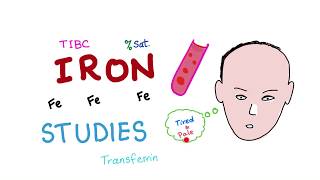 Iron Studies  Serum Fe TIBC ferritin amp Transferrin  Saturation [upl. by Hannej]