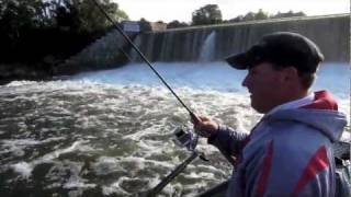 Oswego River Fall Salmon Fishing [upl. by Lajib92]