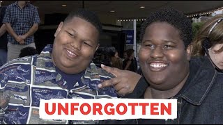 What Happened To The Mixon Brothers From Nutty Professor amp How To Be A Player  Unforgotten [upl. by Elam426]