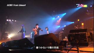 LIVE アニうた KITAKYUSHU 2011 AKINO from bless4 [upl. by Araed]