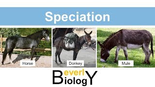 Species and Speciation updated [upl. by Oralia]