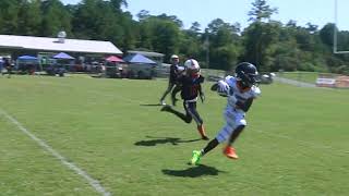 Fultondale Wildcats 10u Highlights vs East Alabama Gators [upl. by Eniamrehc]