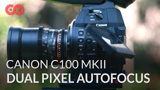 How to Use the Autofocus on the Canon C100 MKII [upl. by Giles]