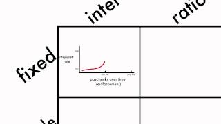 Learning Schedules of Reinforcement [upl. by Ahseirej]