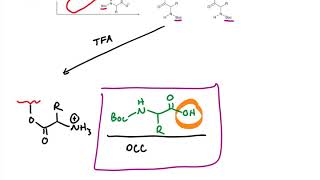 Solid Phase Peptide Synthesis [upl. by Niram]