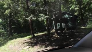 Barton Trail at Allegany State Park by Paul Crawford [upl. by Lim]