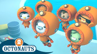 Octonauts  Team Ocean Research  Cartoons for Kids  Underwater Sea Education [upl. by Ennej775]