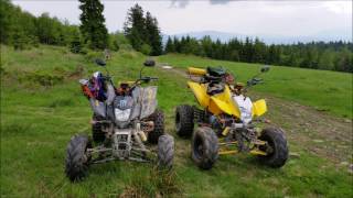 ATV Bashan 200 250 [upl. by Morena]