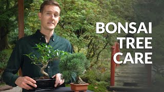 Bonsai tree care [upl. by Odranar]