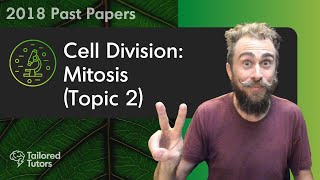 Cell Division Mitosis Topic 2  ALevel Biology Tutorial [upl. by Raual]