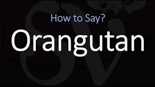 How to Pronounce Orangutan CORRECTLY [upl. by Oirifrop3]