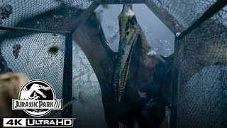 The Pteranodon Aviary Attack in 4K HDR  Jurassic Park III [upl. by Eltsirhc]