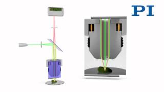 Confocal Microscopy [upl. by Rogerg]