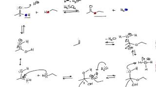 Mechanism of the Fischer Esterification in Organic Chemistry [upl. by Kiersten]