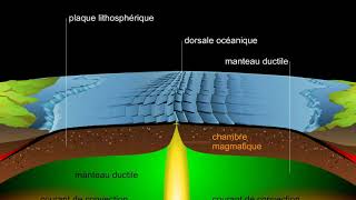 Expansion des fonds océaniques [upl. by Bari]