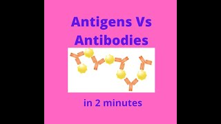 Antigens vs Antibodies in under 2 mins [upl. by Randene]