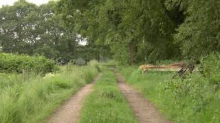 Nature Ambience Old Country Trail with Bird and Cattle Sounds [upl. by Zakaria656]