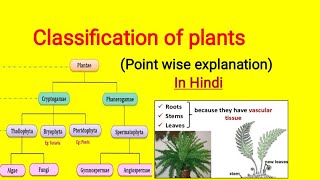 Classification of plants in Hindi  Cryptogam and Phanerogam plantclassification [upl. by Anwahsat217]