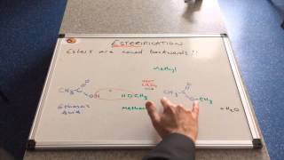 Esterification [upl. by Stafford]