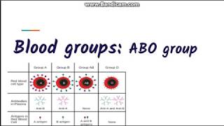 Blood grouping  ABO blood group system [upl. by Yunick268]