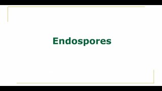 Endospores [upl. by Nehr]