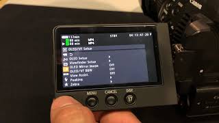 Canon C100 mkii  Selecting Picture Profile and View Assist [upl. by Hceicjow]