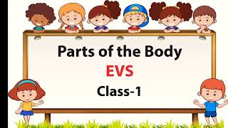 Parts Of The Body EVS Class 1 My Body [upl. by Kcirrem]