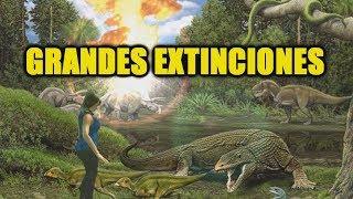 Grandes extinciones masivas  Historia de la Tierra 1 parte [upl. by Valma119]