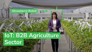 IoT Powering the Digital Economy  The B2B Agriculture Sector  Schneider Electric [upl. by Anniala]