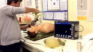 Flexible Bronchoscopy Introduction 2  Handling [upl. by Adnirb]