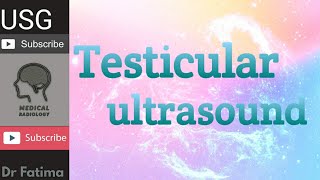 Basic testicular ultrasound by Dr Fatima [upl. by Dhaf]