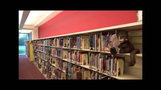 Childrens Library Tour [upl. by Buhler]