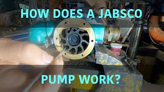 How does a Jabsco pump work [upl. by Lathrope]