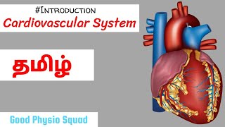 Physiology  Introduction to the Cardiovascular System in Tamil Lecture [upl. by Yzzo983]