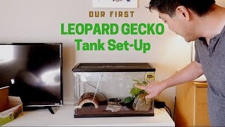 Our first LEOPARD GECKO TANK SETUP [upl. by Ellahcim789]