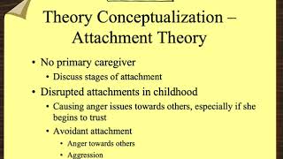 Case Conceptualization An Example [upl. by Skye]