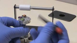 Preparing a Sample for Electron Microscopy [upl. by Caril]