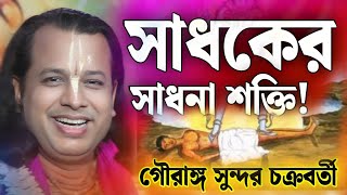 সাধকের সাধনা শক্তি  গৌরাঙ্গ সুন্দর চক্রবর্তী  gouranga sundar chakraborty 2024 [upl. by Nnylsor]