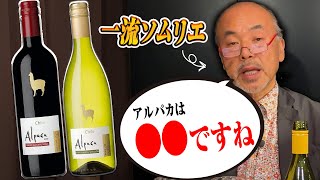 【激安ワイン】アルパカって美味しいですか？ [upl. by Merrie391]