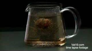 Teaposy Blooming Tea Gift Set [upl. by Aivin]