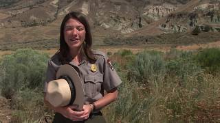 John Day Fossil Beds [upl. by Ojybbob]