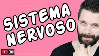 SISTEMA NERVOSO  FISIOLOGIA  Aula  Biologia com Samuel Cunha [upl. by Darcia380]