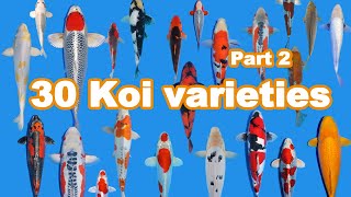 30 Koi Fish varieties types and characteristics part 2 [upl. by Beaulieu255]