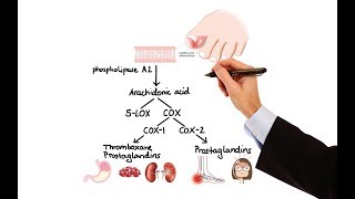 Pharmacology  NSAIDs amp PROSTAGLANDIN ANALOGS MADE EASY [upl. by Bekki]