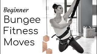 Uplift Active Bungee Fitness Tutorial by Novaturient Pilates [upl. by Johnathan631]