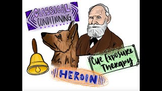 Classical Conditioning and Drug Addiction [upl. by Aeresed710]