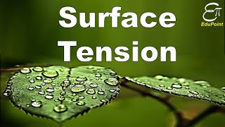 🔴 Surface Tension  for Class 11 in HINDI [upl. by Ahsan]