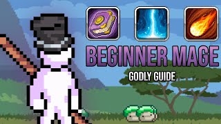 Beginner Mage Guide  Idleon [upl. by Aruabea]